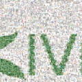 Kiva, ONG, Sustainability, cooperation, Ecology