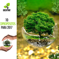 propositos ecologicos, reciclaje, espacios verdes, plástico, papel, aceite, plantas, basura electrónica, aparatos eléctricos, e-basura, basura electrónica, combustibles, bici, caminar, propósitos, 2017