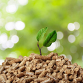 biomasa, consumo sostenible, energía renovable