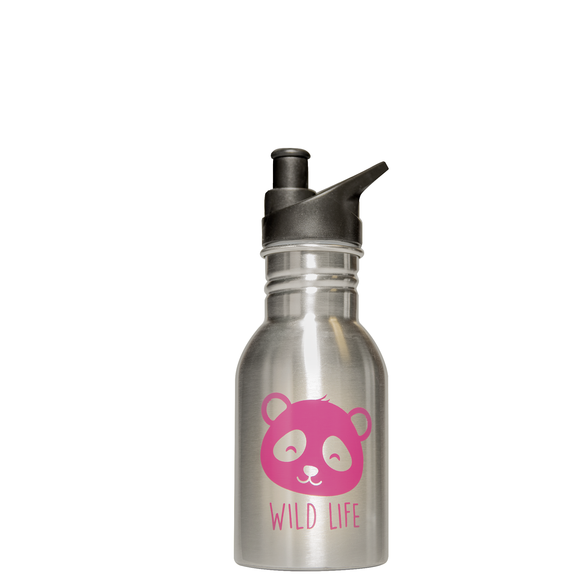 Catalog