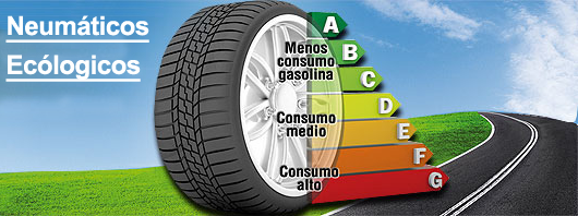 neumatico ecológico