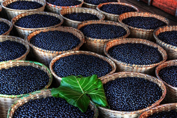 açai