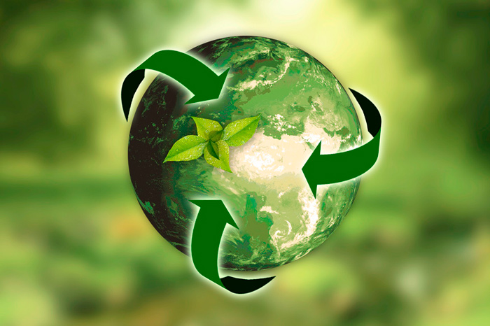 Greeny Bazar: Ofertas en verde