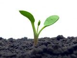 Bolsas: Compostables, Biodegradables, Reciclables…