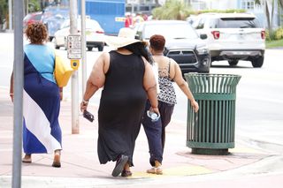 El BPA puede provocar problemas de obesidad