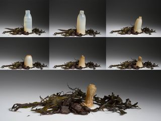 Botellas biodegradables y comestibles