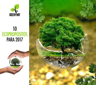 10 Ecopropósitos para 2017