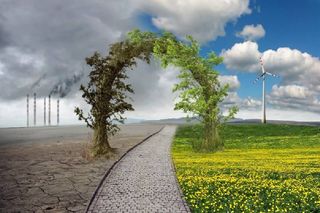 Informarse bien para cuidar el Medio Ambiente
