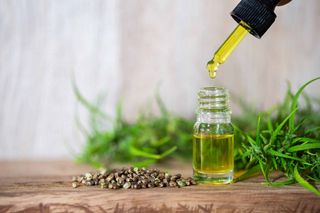 El cáñamo industrial y la ecología