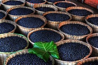 Açai: ¿Un superalimiento?