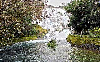Cuidando Nuestro Agua: La Importancia de No Contaminar y el Uso Responsable de Fosas Sépticas